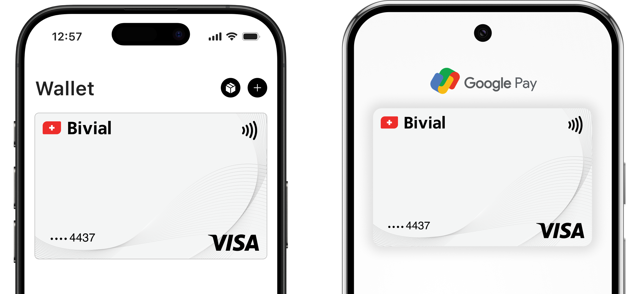 Visa Debit Card