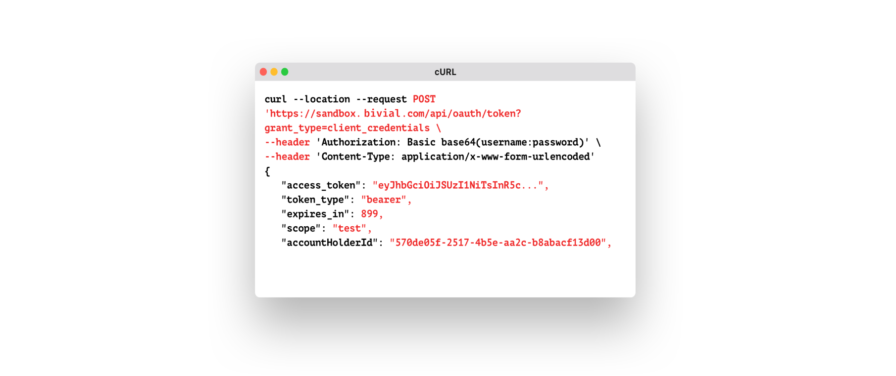 Payments API Guide
